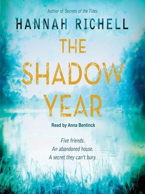 cover image of The Shadow Year